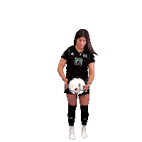 HRewards 12 uh wsoc peterson Sticker