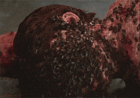 sleepaway camp horror GIF by Shudder