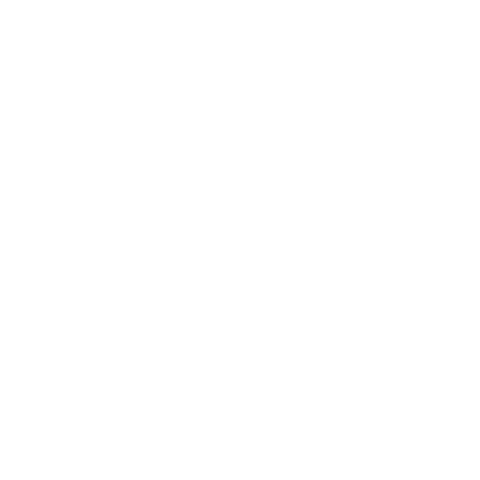 Fitness Trainer Sticker by Burn Boot Camp