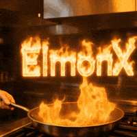 Fire Cooking GIF by ElmonX