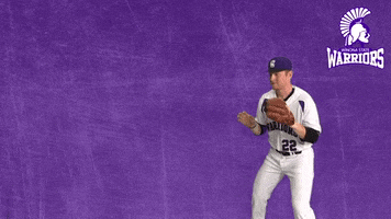 Baseball Warriors GIF by WinonaStateATH
