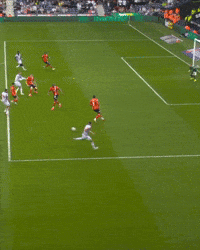 West Brom Wba GIF by West Bromwich Albion