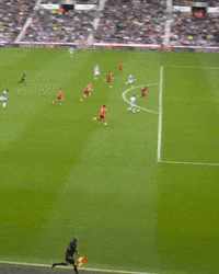 West Brom Wba GIF by West Bromwich Albion