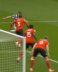 West Brom Wba GIF by West Bromwich Albion