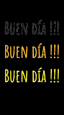 beebox_panalera giphygifmaker panalera beebox GIF