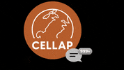 CELLAPVICTORIA cellap cellap victoria GIF