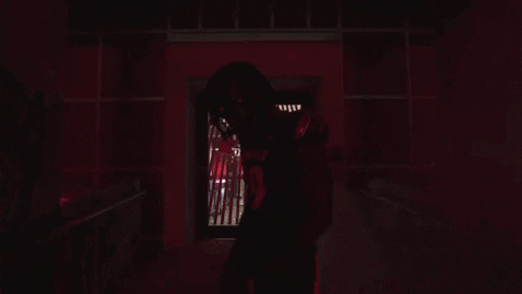 University Of Louisville Football GIF by Louisville Cardinals