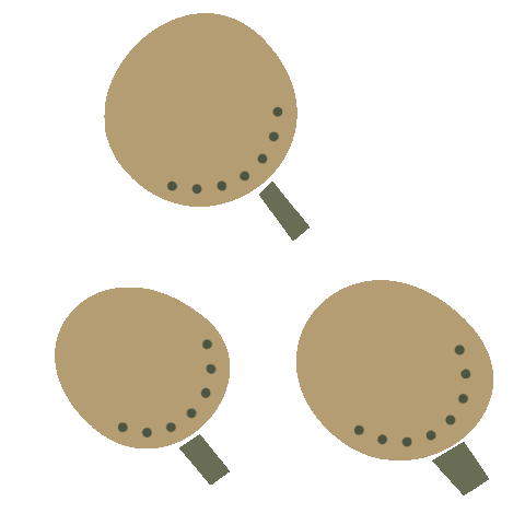 Flower Spring Sticker