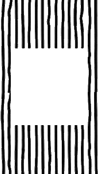 Lines Frame Sticker by madebywar