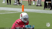 Arizona Cardinals Football GIF by NFL