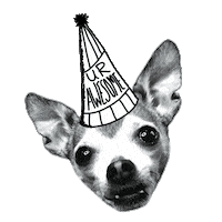 Dog Love Sticker by Lumi