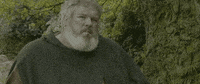 game of thrones robin hood movie GIF by Signature Entertainment