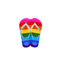 Flip Flop Rainbow Sticker by Havaianas APAC