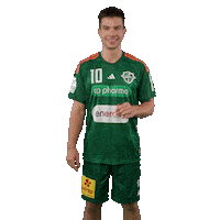 Handball Recken Sticker by DAIKIN HBL