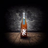 GIF by doppelleuboxer