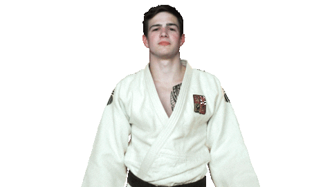 Fight Swipe Up Sticker by Czech judo