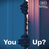 Amc Halfway To Halloween GIF by Shudder