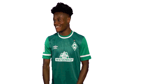 Dance An17 Sticker by SV Werder Bremen