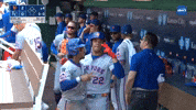 Francisco Lindor Smile GIF by New York Mets