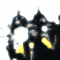 Yes GIF by Avalon Music
