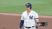 Jomboy  GIF