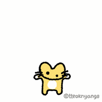 Cat GIF