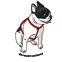 puppy friend Sticker by Ivo Adventures