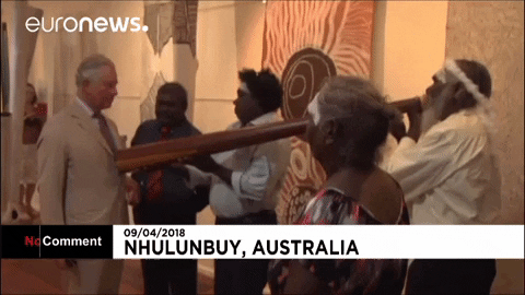 Prince Charles No Comment GIF by euronews