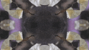Art Love GIF by jorgemariozuleta