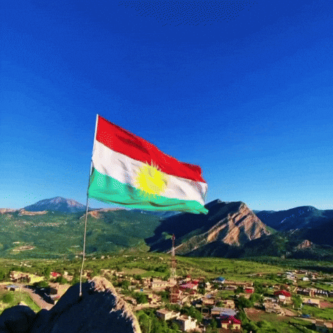 Flag Al GIF