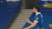 Happy Fun GIF by MolaTV
