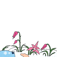 winter love Sticker by innisfree