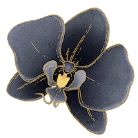 daturastore orchid datura blueorchid Sticker