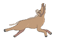 CreateDrop cartoon horse pony horses Sticker