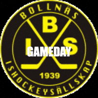 bollnashockey hockey gameday bis alag GIF