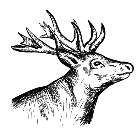 Schnauze-und-company giphyupload wurst hirsch fleisch Sticker