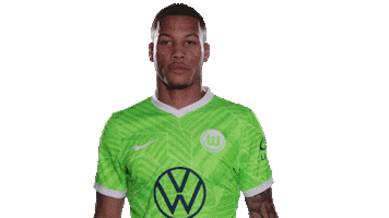 Happy Football Sticker by VfL Wolfsburg