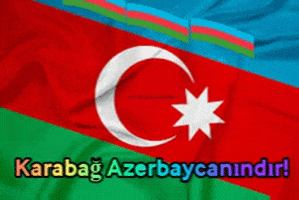 BenBartu_YT giphygifmaker giphyattribution GIF