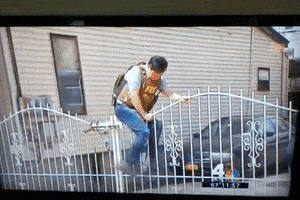 news fail GIF