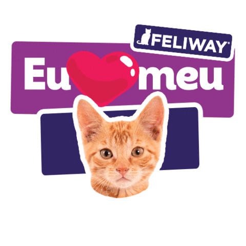 cevabrasil giphyupload gato gatofeliz feliway Sticker