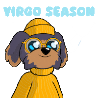 Stars Sign Sticker by BoDoggos