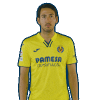 Sport Soccer Sticker by Villarreal CF