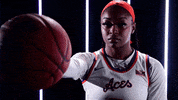 Womens Basketball Evansville GIF by UE Athletics