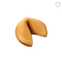 Pet Novo Post Sticker by TUDODVET