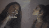 victoria monet monopoly GIF by Ariana Grande