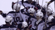 ice hockey hug GIF by NHL