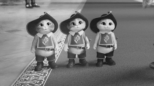 jmullen giphyupload GIF