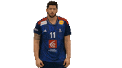 Nicolas Tournat Sticker by Fédération Française de Handball