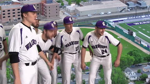 Baseball Warriors GIF by WinonaStateATH