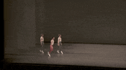 lincoln center dance GIF by New York City Ballet